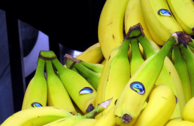 ethical fair trade bananas